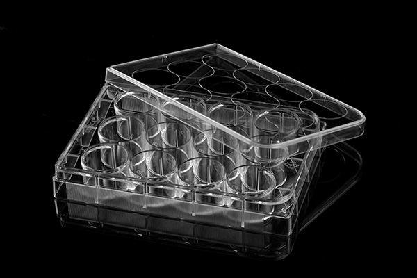 12孔細胞培養(yǎng)板