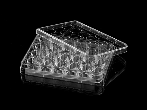 24孔細(xì)胞培養(yǎng)板