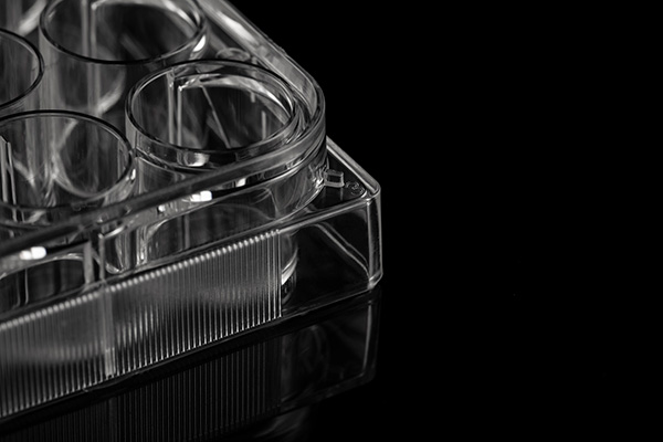 24孔細(xì)胞培養(yǎng)板