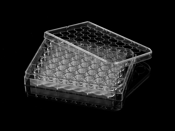 48孔細(xì)胞培養(yǎng)板