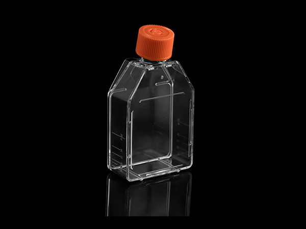 t25細(xì)胞培養(yǎng)瓶