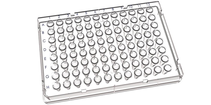 96孔PCR板：從樣本處理到數(shù)據(jù)分析的關(guān)鍵