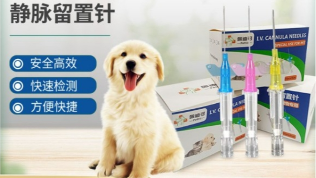 寵物留置針：為寵物醫(yī)療帶來(lái)便利與關(guān)懷