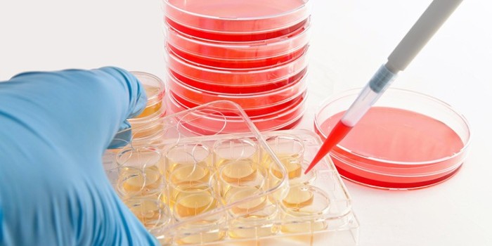 如何培養(yǎng)實(shí)驗(yàn)室的懸浮細(xì)胞？