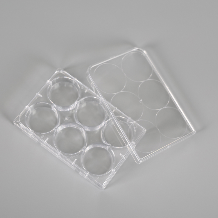 6 孔細(xì)胞培養(yǎng)板