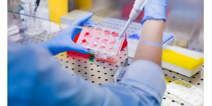 細胞培養(yǎng)的流程？