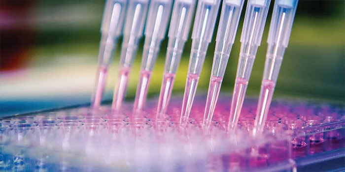 手動(dòng)還是自動(dòng)？選擇最佳移液方法