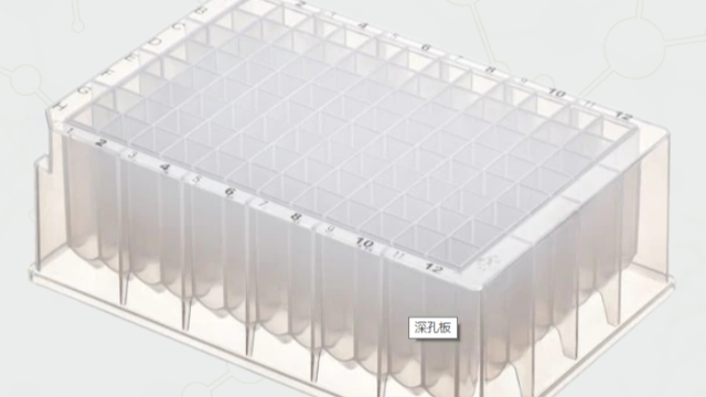 探索 96 深孔板在實(shí)驗(yàn)室中的重要作用