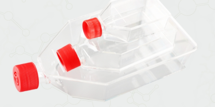 細胞培養(yǎng)瓶的消毒方式