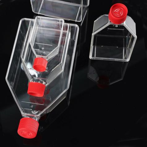 細胞培養(yǎng)瓶