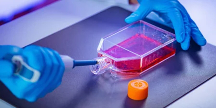 細(xì)胞培養(yǎng)瓶，您選對(duì)了嗎？