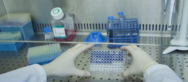 細(xì)胞培養(yǎng)