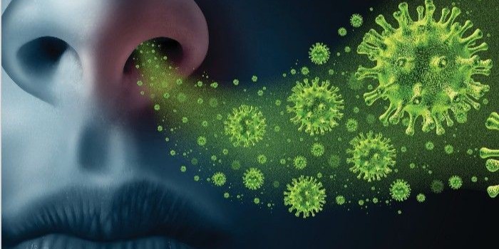 甲流來襲，我們應(yīng)如何預(yù)防？