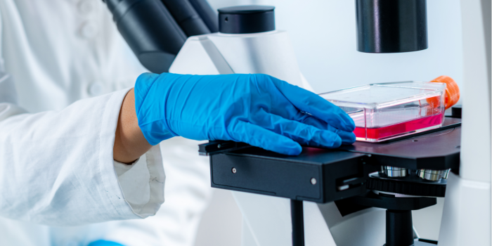 如何進(jìn)行細(xì)胞的傳代培養(yǎng)？