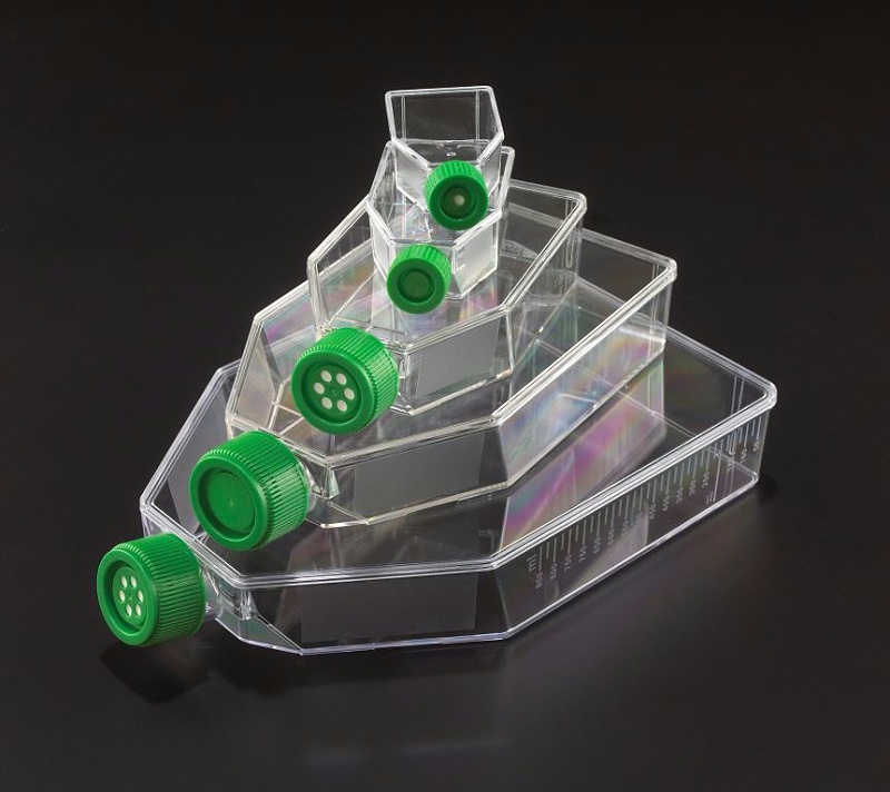 細胞培養(yǎng)瓶