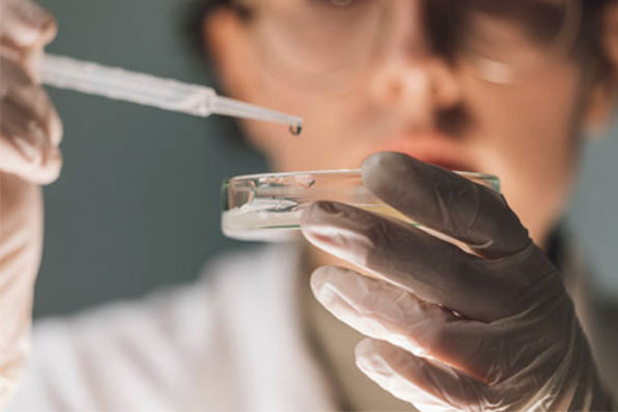 細(xì)胞培養(yǎng)皿