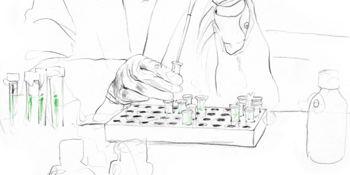 如何培養(yǎng)哺乳動物細(xì)胞培養(yǎng)物？