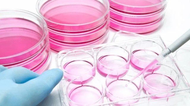 醫(yī)療耗材：現(xiàn)代醫(yī)療的隱形守護(hù)者