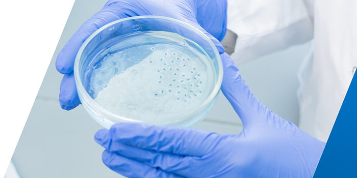 細(xì)胞培養(yǎng)在實(shí)驗(yàn)室研究中的作用是什么？