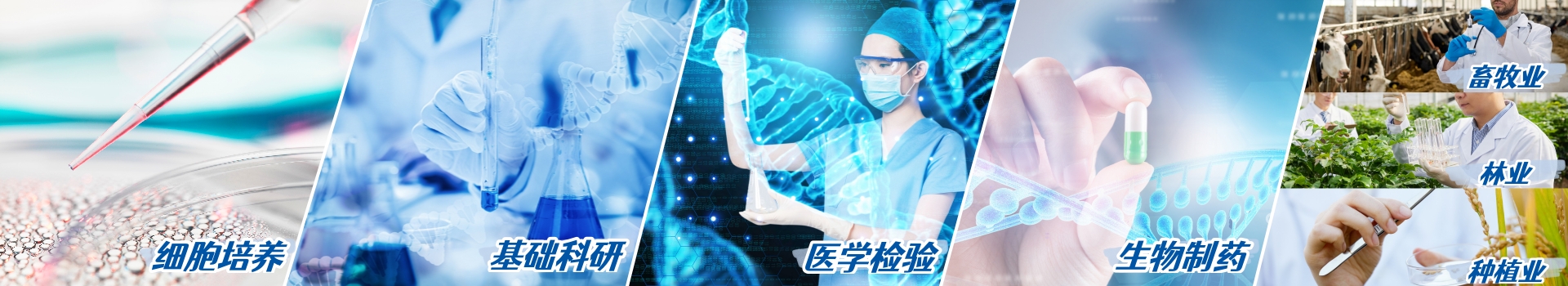 生物實驗室耗材